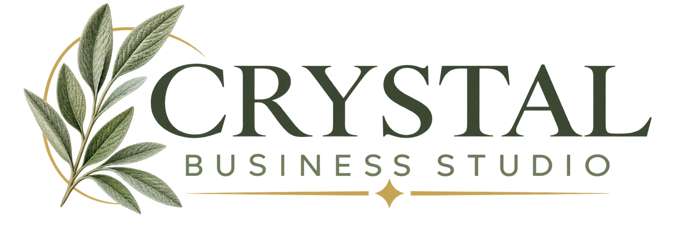 Crystal Business Studio